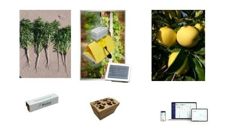 Sival 2021 innovación